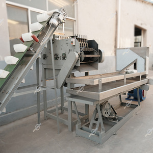 Ligne de production de transformation de noix de <span class=keywords><strong>cajou</strong></span> de haute qualité, machine automatique de découpe, de pelage et d'écaillage des noix de <span class=keywords><strong>cajou</strong></span> - Product Image 3