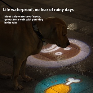 Collar luminoso para perros pequeños, cachorros, mascotas, con pantalla OLED, anillo fluorescente para caminar de noche, fácil de colgar, operado por <span class=keywords><strong>Android</strong></span> - Product Image 4