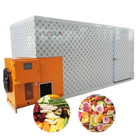 Drooglijn voor fruit- en groenteproducten, dehydratatie- en droogapparatuur voor gedroogd fruit en groenteschijfjes