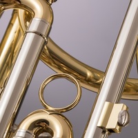 OEM BB Tone Gold Lacquer Brass Music Instrument Baritone