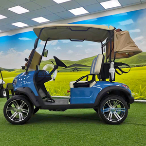 Carrito de Golf Eléctrico Personalizable de 2 Plazas con GPS, Batería de 48V, Certificado Dot Ce, Disponible para la Venta - Product Image 4