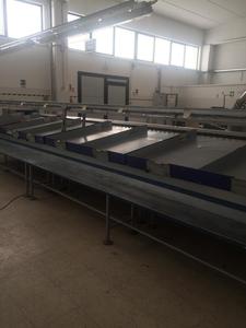 Ligne Unitec 1 pour l'avocat en Italie Ligne de classement des fruits d'occasion Machine de tri de qualité Machine haute performance Ligne de production - Product Image 2