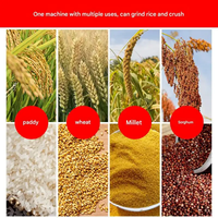 Équipement de décorticage de riz 5 fonctions tout-en-un : Nettoyeur de paddy, Dépierreur, Décortiqueur, Blanchisseur, Broyeur de céréales, Conception compacte, Petit moulin à riz