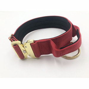 Hersteller Heavy Duty 1,5 Zoll 4-lagiges Nylon gewebe Frosch clip Verstellbarer Metall-D-Ring & Schnalle Haustier Hunde halsband - Product Image 3