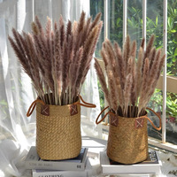 Bouquets de fleurs séchées éternelles en herbe de la pampa et roseaux, petits et séchés, pour décoration intérieure, toile de fond de mariage et décoration de table