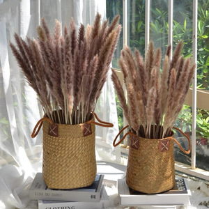 Bouquets de fleurs séchées éternelles en herbe de la pampa et roseaux, petits et séchés, pour décoration intérieure, toile de fond de mariage et décoration de table - Product Image 3