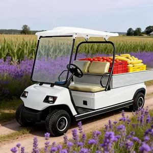Nouvelle voiturette de golf A2.H8 à deux places, à une rangée, ouverte, pour le transport de marchandises, adaptée aux travaux agricoles ruraux, en ferme et en <span class=keywords><strong>plantation</strong></span>. - Product Image 2