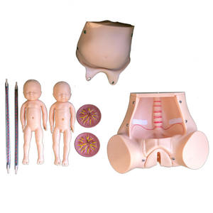 בובת אימון לידה מקיפה עם תינוקות להוראה רפואית - Product Image 3