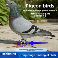 Traceur GPS pour bagues de pied de pigeon, localisateur sans fil Bluetooth IP67 en PVC, pour pigeon voyageur, anti-perte, surveillance à distance et entraînement