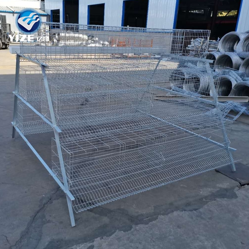 Broiler Chicken Cage with Poultry Farming