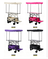 Chariot de Vendeur Pliable avec Auvent et Plateau de Table, Capacité 150L, Chariot Robuste pour Vente Ambulante, Marchés de Fermiers, Événements Extérieurs