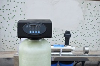 Système adoucisseur d'eau de luxe 500 LPH en résine pour usage domestique, alimentation électrique