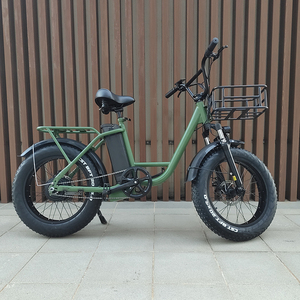 Pneu électrique Carge E Bike 500w moteur 20x4 pouces gros pneu électrique adulte Cargo vélo électrique - Product Image 6