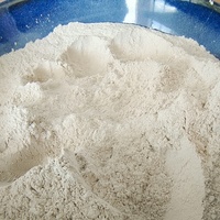 Poudre d'argile blanchissante activée pour huile de coco, huile de cuisson et huile usagée