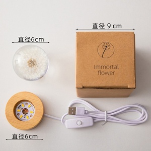 Wholesale Christmas Birthday Gift Dandelion Luminous Crystal Ball Wood Base Resin <b>Nightlight</b> Eternal Flower - Product Image 5
