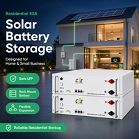 Batterie LiFePO4 CFE 51.2V 100Ah 5kWh pour système de stockage d'énergie résidentiel, 6000 cycles, montage mural, ESS CAN pour l'alimentation domestique