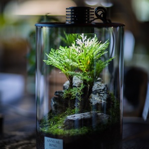 Aksesori akuarium desain seni penjualan laris dekorasi kantor Pot kaca botol lanskap mikro lampu akuarium akuarium - Product Image 2
