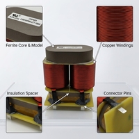 Amplificateur HiFi 300VA Haute Efficacité Faible Bruit Conception Encapsulée Transformateur Audio Toroidal