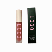 Impression de logo OEM, gloss à lèvres en gros