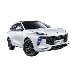Voitures <span class=keywords><strong>Mini</strong></span> SUV Dongfeng Forthing T5 Evo Voiture électrique chinoise Cuir léger 55 Turbo Multifonction Toit ouvrant automatique Manuel R17 - Product Image 1