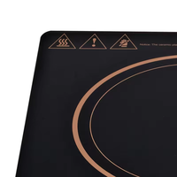 2024 Top vente nouvelle plaque à Induction mince Sukio Grill Pot cuisson cuisinière à Induction