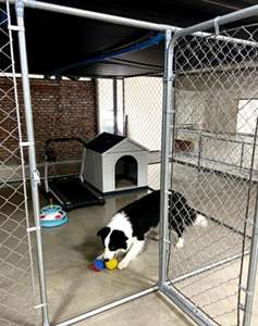 Kilitlenebilir Kapılı, Paslanmaz, Ağır Hizmet Tipi, Dış Mekan, Kaynaklı <span class=keywords><strong>Metal</strong></span> Köpek Kulübesi - Product Image 3