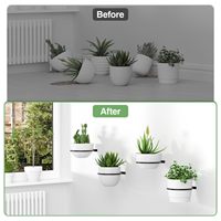 Benutzer definierte 6 Zoll Edelstahl Wand Blumentopf halter mit Aufbewahrung bügel Garten Hardware