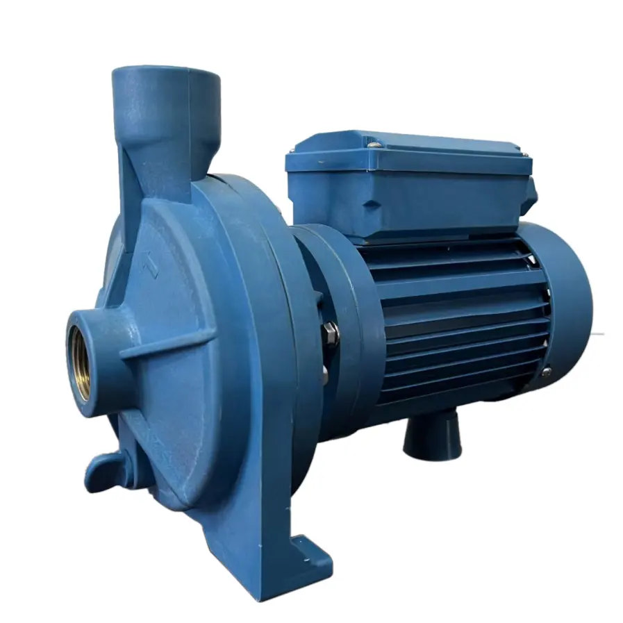 Cadisdon High Pressure Peripheral Water Pump
