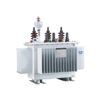 Transformador de Distribución Sumergido en Aceite, Clase F, Aislamiento S13-M (F), Alta Sobrecarga, Totalmente Sellado, 100kVA 10kV