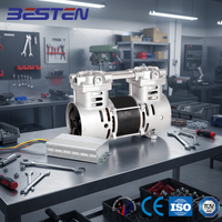 Un compresseur d'air sans huile est utilisé pour le générateur d'oxygène, compresseur d'air pour petit générateur d'oxygène BST300DC48V60V72V80V96V110