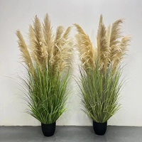 Herbe de la pampa fleurs séchées vente chaude décoration de mariage à la maison moelleux naturel roseau herbe de pampa avec pot