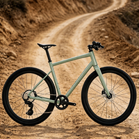 Gravel Bike G2max Aluminiumlegierung-Rahmen 12-Gang Carbonfaser-Gabel 700C Breitreifen Hydraulische Scheibenbremse Flachlenker Plattformpedale