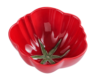 Service de table en porcelaine fine de style américain avec motifs tomates et fruits – Vaisselle pour la rentrée scolaire