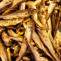 Séchoir à biltong de 500 kg avec PLC, four industriel à pompe à chaleur pour le séchage du poisson, des fruits et des légumes, à économie d'énergie