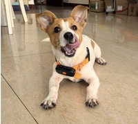 Suivi en temps réel du suivi des animaux de compagnie, localisateur GPS, suivi pour chien, localisation en temps réel, GPSONE, étanche, anti-perte, traceur GPS pour animaux de compagnie