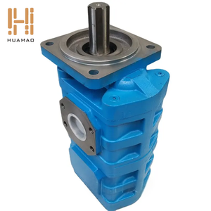 Repuestos Hidráulicos para Cargadora: Bomba Hidráulica de Doble Engranaje con Eje Recto de Hierro Fundido Azul al por Mayor - Product Image 3