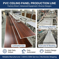 Plancha de PVC para Falso Techo, Cielo Raso, Tablilla de PVC, Panel de Cielo Satinado para Techo