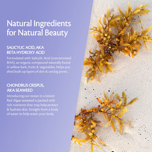 <span class=keywords><strong>Lotion</strong></span> <span class=keywords><strong>exfoliante</strong></span> à l'acide salicylique <span class=keywords><strong>2</strong></span>% <span class=keywords><strong>BHA</strong></span> pour soins de la peau, marque privée - Product Image 4