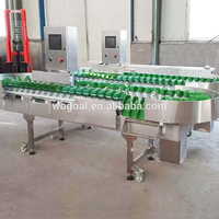 Industriële automatische weeg- en sorteermachine voor vis, fruit, groenten, noten, 304 roestvrij staal, hoge efficiëntie