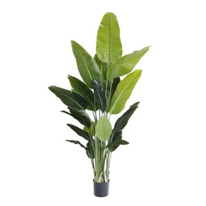Plante artificielle Heliconia en pot, style rustique naturel, grande verdure, sur pied, en plastique PU, 100-200 cm, pour salon - Product Image 5