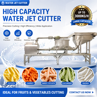 3-10T/H Hoge Capaciteit Hydro Snijmachine Automatische Aardappel Friet Snijder met CE ISO