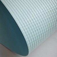 Rouleau de bâche en PVC ignifuge, imperméable et résistant aux UV, 350 GSM, personnalisable en gros pour couvrir les tentes