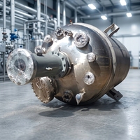 Réacteur fixe chauffé électriquement à haute température Borui 5 tonnes, autoclave industriel, système de réaction catalytique gaz-solide