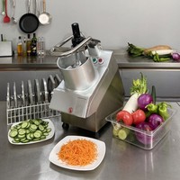 Industriële mozzarellarasp/kaassnijmachine/mozzarellakaassnijmachine