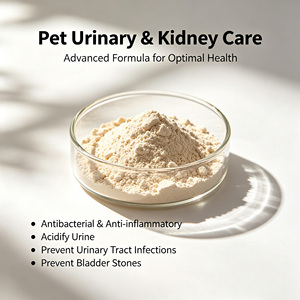 Urinary <strong>Renal</strong> Support Powder Plantain Cranberry Antibacterial Anti-inflammatory Acidify Urine Advanced Formula Supplement - Product Image 3