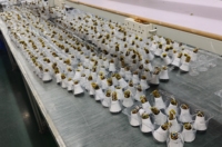 Ampoule LED pour volailles à haute efficacité lumineuse 125lm/w, ignifuge IP66