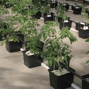DaringFish Pots <span class=keywords><strong>de</strong></span> pépinière ronds en plastique recyclé écologique avec matériau PP utilisés pour les plantes - Product Image 2