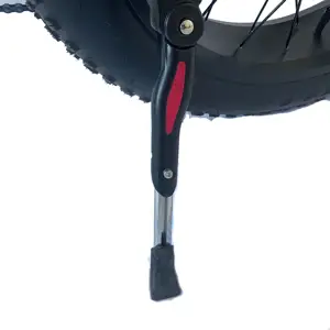Bicicletta elettrica pieghevole con copertone largo, E-Bike, pieghevole, OEM, 20 pollici, 48V, 250W