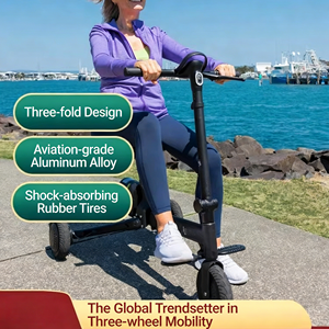 <span class=keywords><strong>Scooter</strong></span> électrique à mobilité électrique à un siège, 3 roues, <span class=keywords><strong>scooter</strong></span> électrique pour passagers, spacieux pour les voyages, fourni par l'usine - Product Image 3