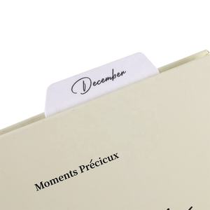 Hongbo Best Seller A5/A6/A7 Tablero de instrumentos insertado para ahorrar Desafío con 3 agujeros de 12 hojas/24 páginas en 12 meses - Product Image 5